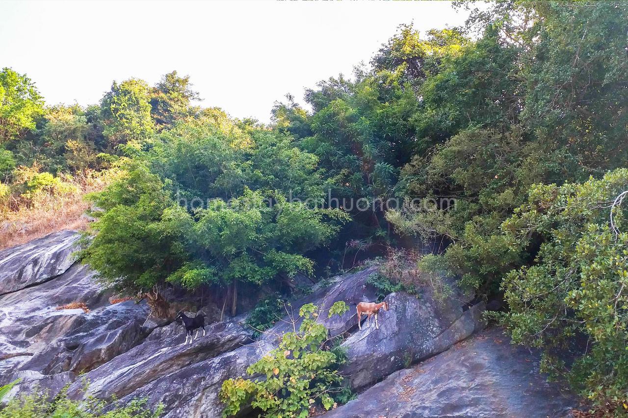 Hiep Tung Homestay Tân Hiệ Esterno foto