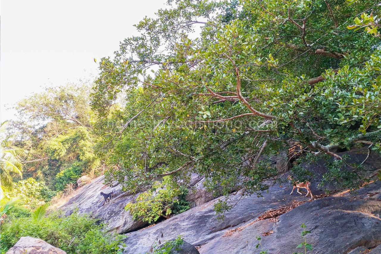 Hiep Tung Homestay Tân Hiệ Esterno foto
